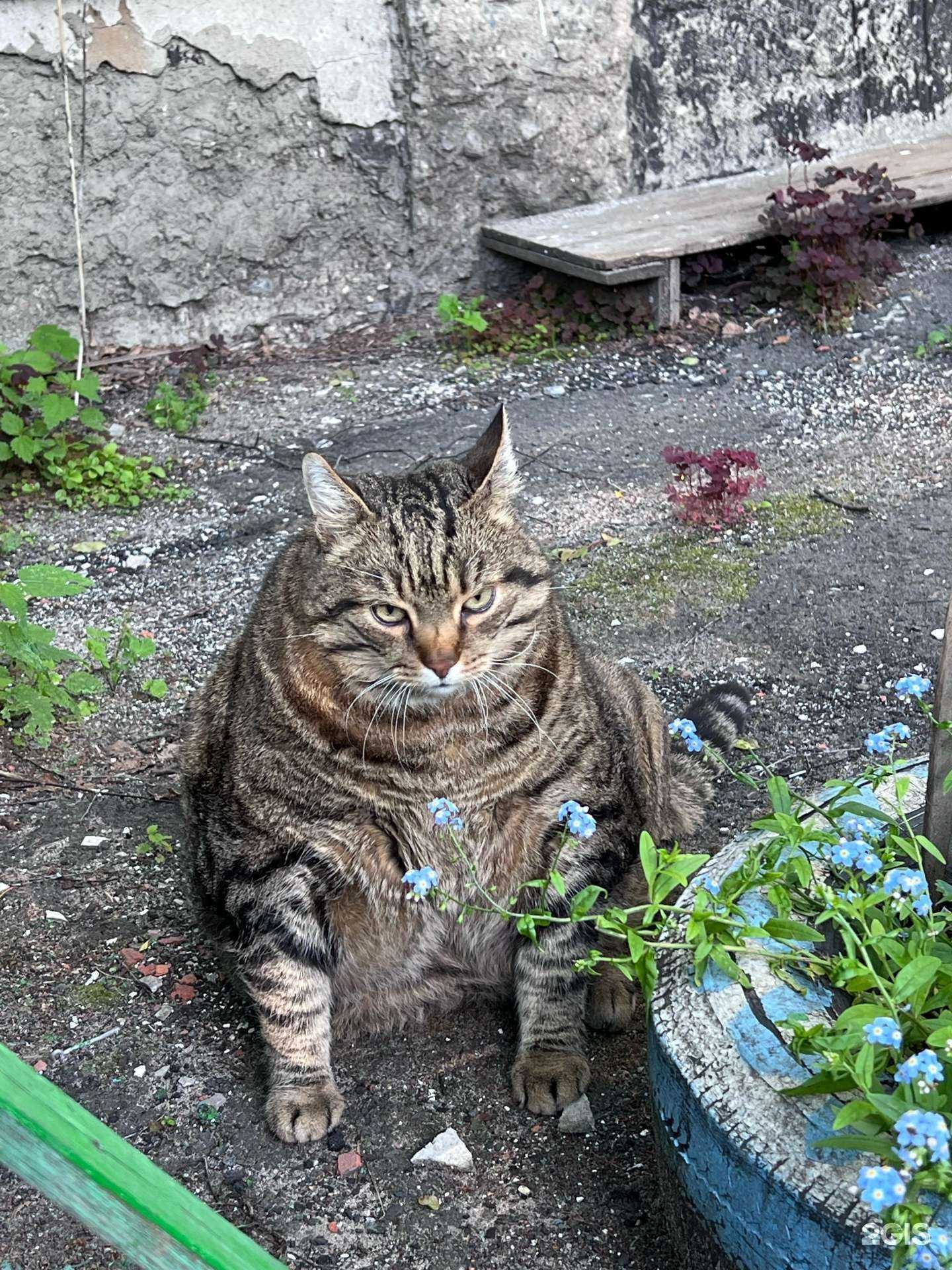 Отзывы на компанию VFD в Архангельске c фото - фотография 2 из 2