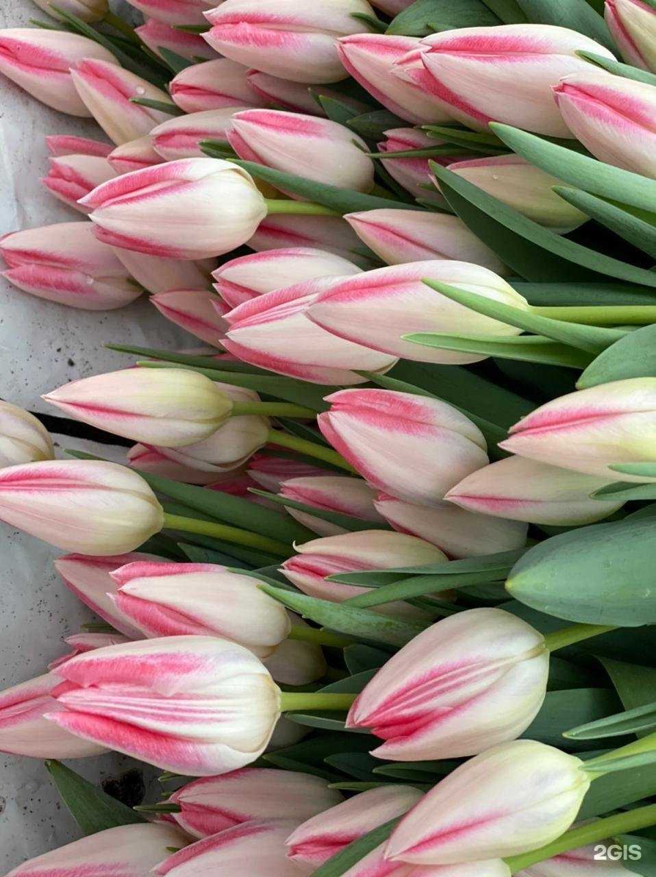 Отзывы на компанию Совхоз в г. Пятигорск c фото