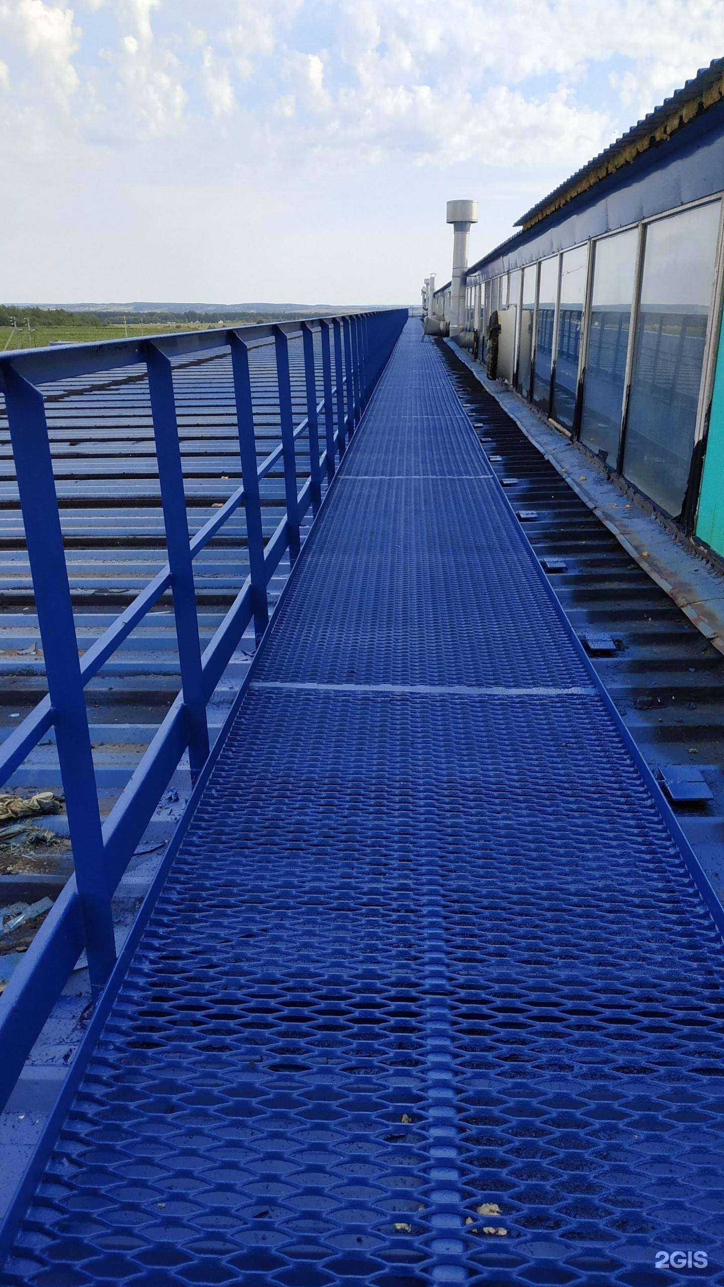 Отзывы на компанию Профи в г. Ижевск c фото