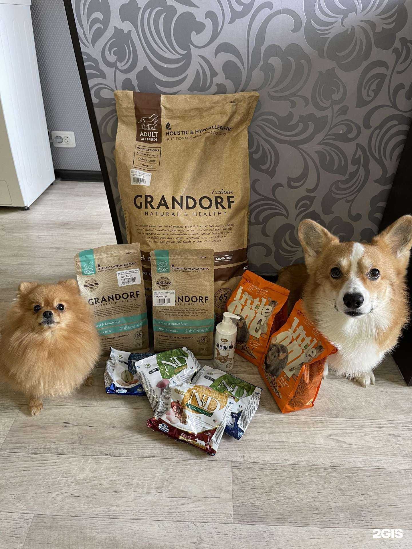 Отзывы на компанию PetRoom в г. Норильск c фото