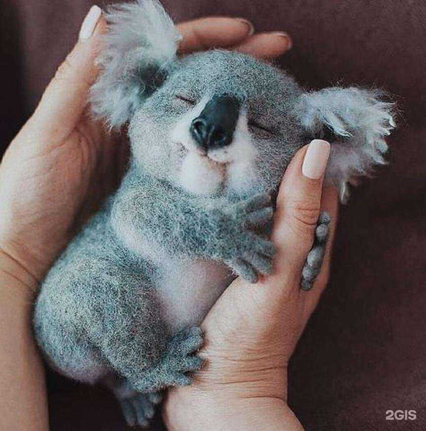 Отзывы на компанию Coalla Agency в Смоленске c фото