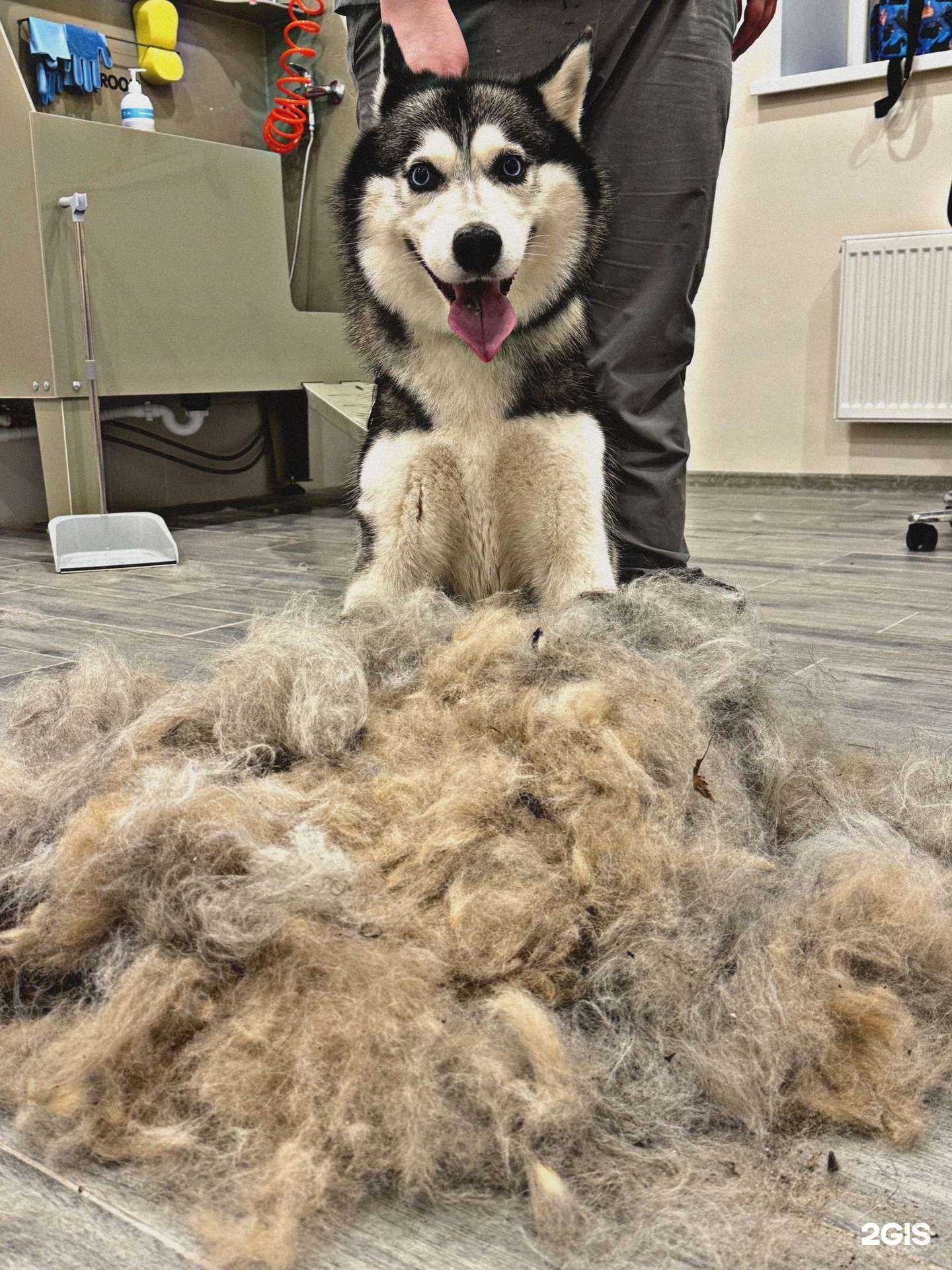 Отзывы на компанию Simba в г. Рязань c фото