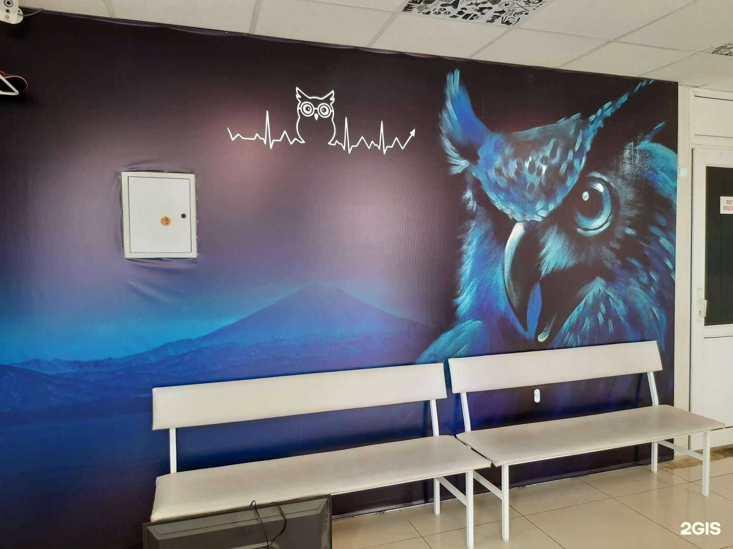 Отзывы на компанию Синяя Сова в Петропавловске-Камчатском c фото