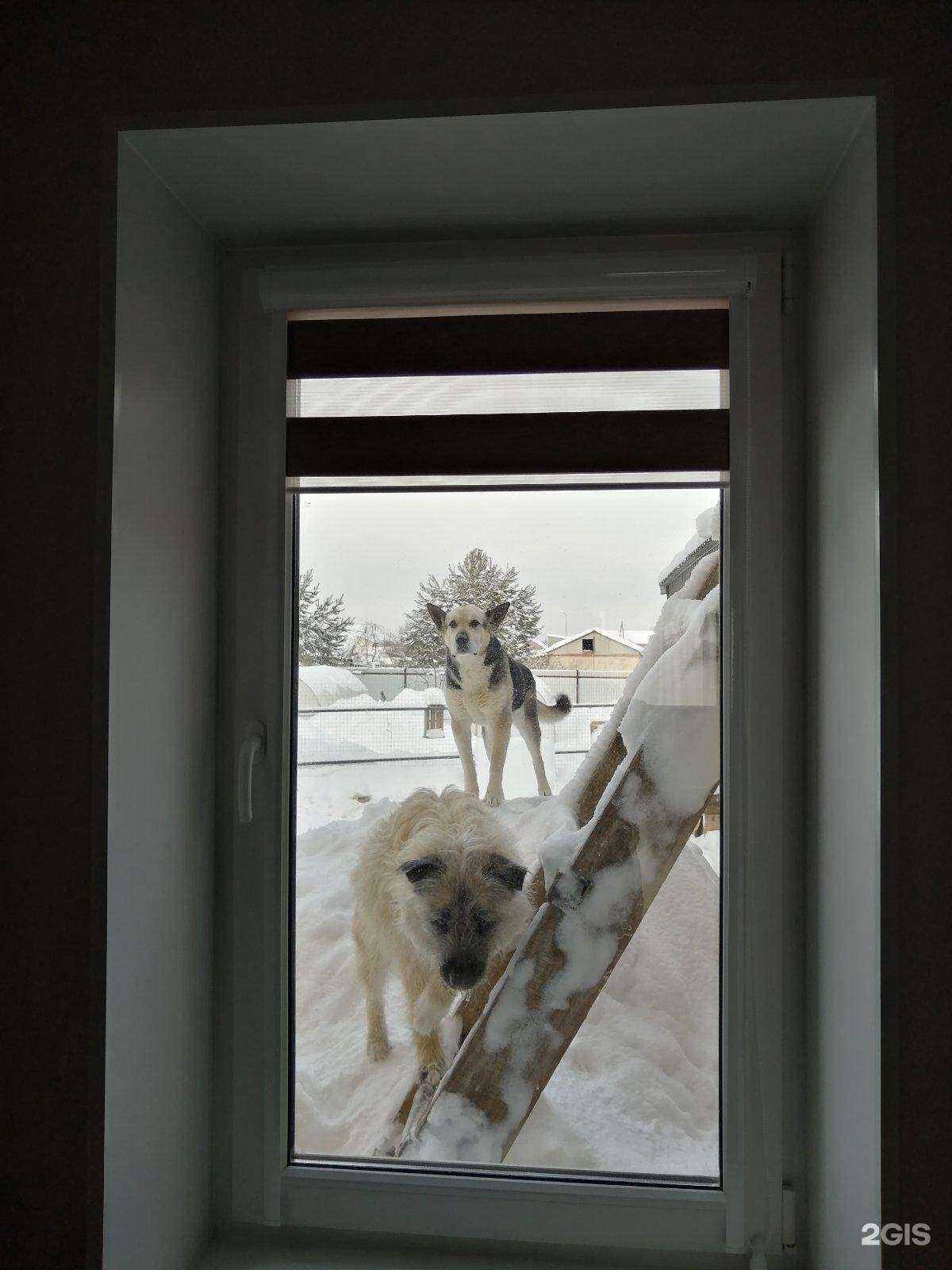 Отзывы на компанию Colibri в г. Ижевск c фото