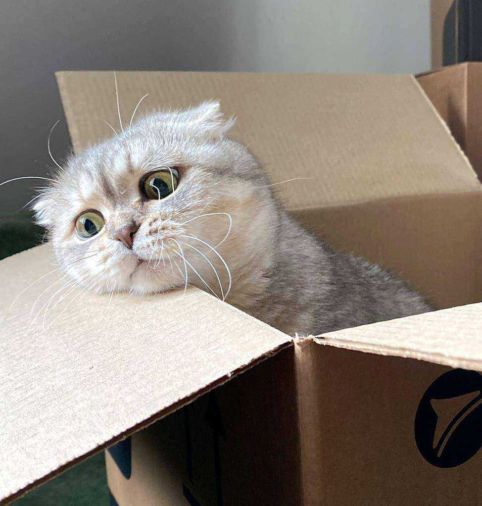 Отзывы на компанию CDEK в г. Великие Луки c фото