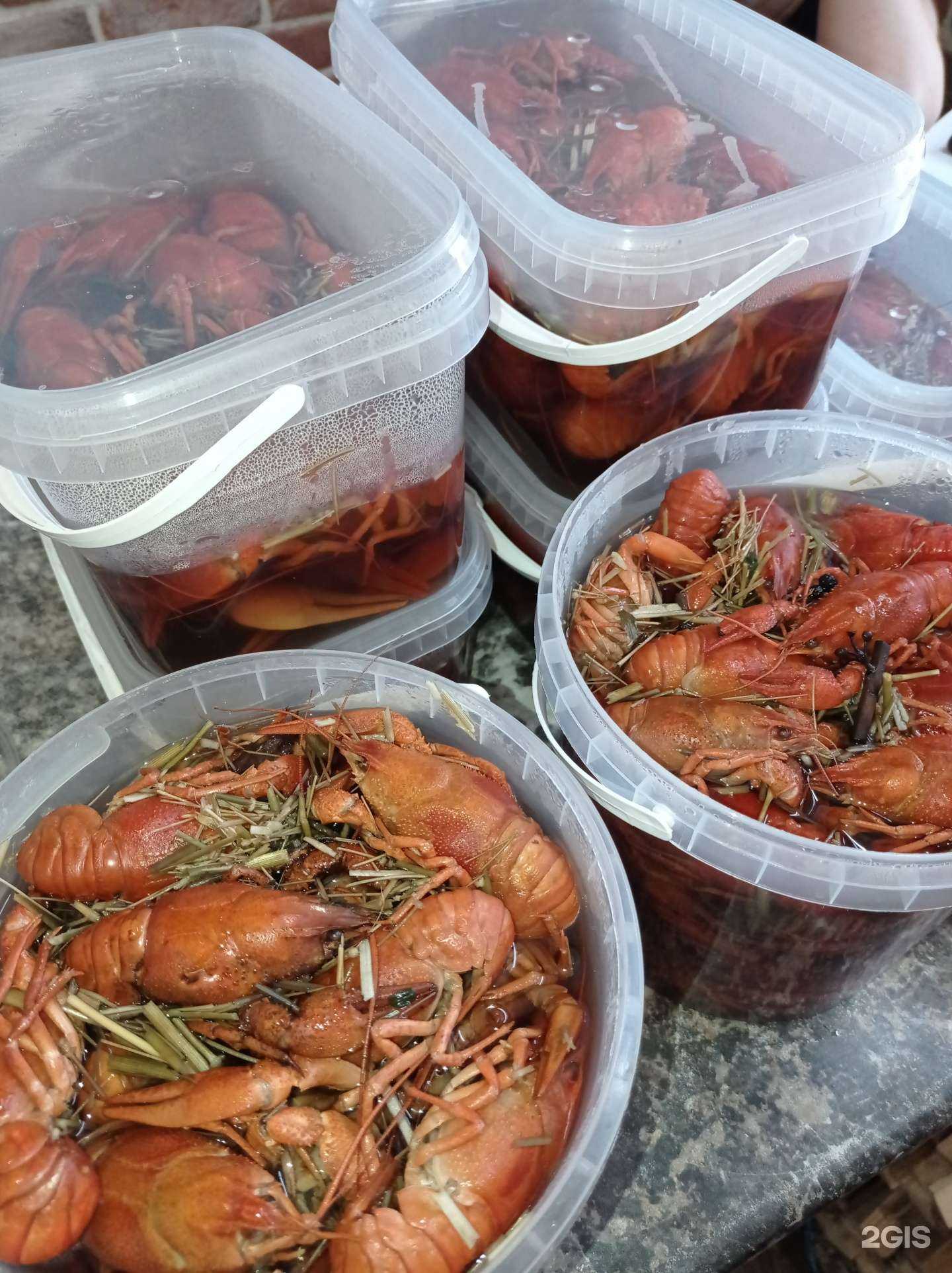 Отзывы на компанию Mr. Hops в г. Краснодар c фото