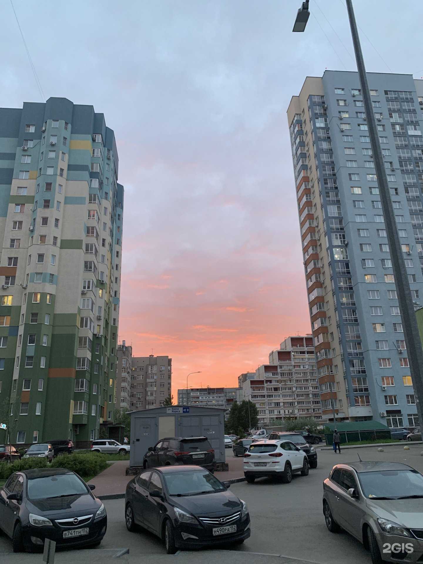 Отзывы на компанию Дети будущего в Нижнем Новгороде c фото - фотография 2 из 2