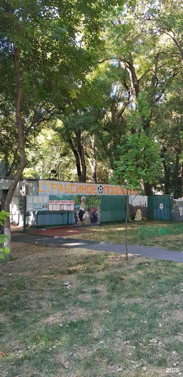 Отзывы на компанию Страусиное подворье в Ростове-на-Дону c фото - фотография 2 из 2