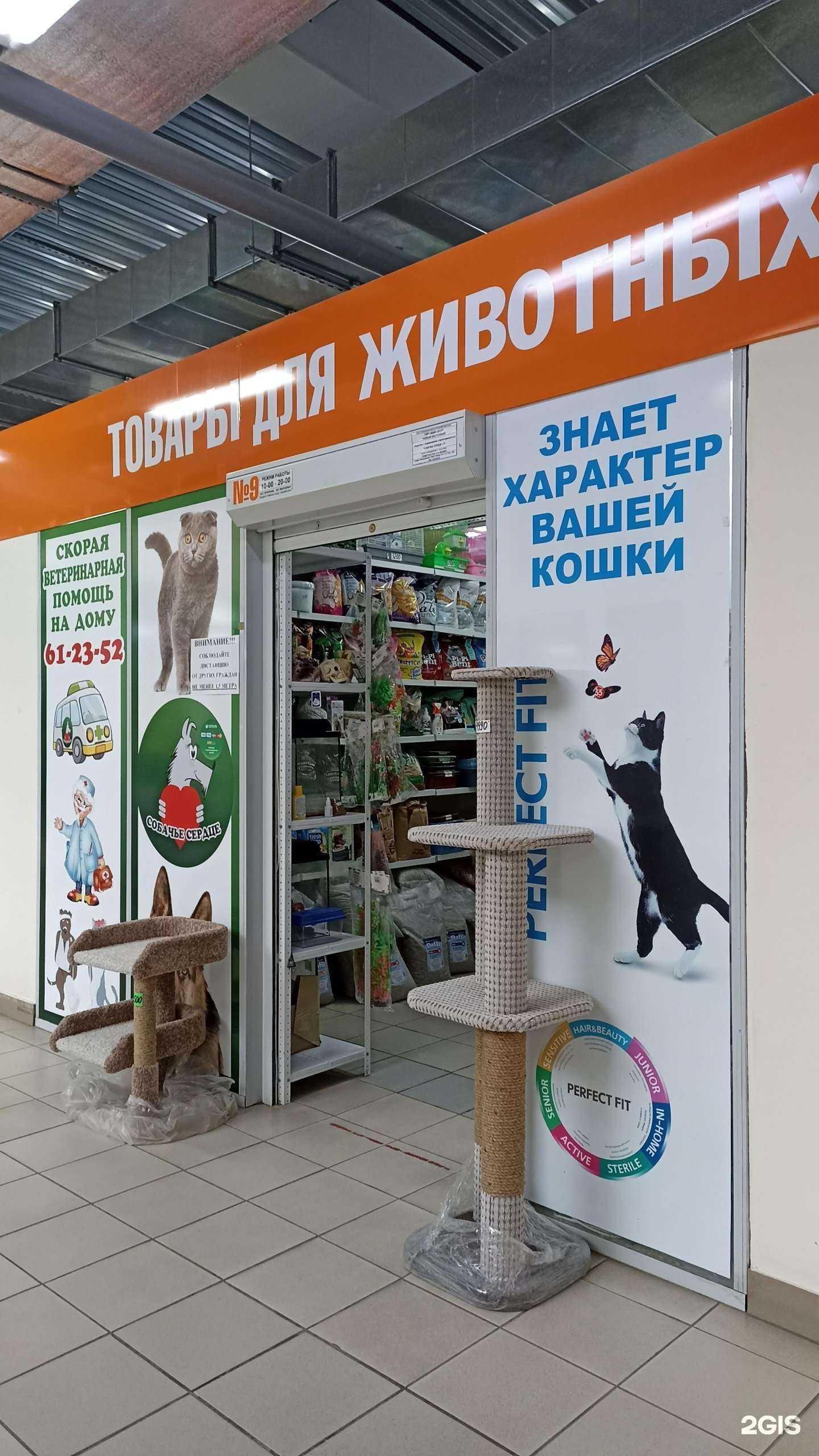 Отзывы на компанию Собачье сердце в Тюмени c фото