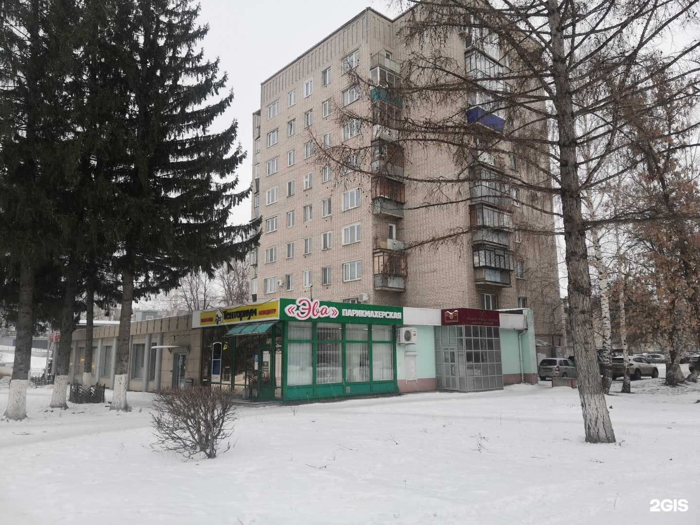 Отзывы на компанию Клумба в Альметьевске c фото - фотография 2 из 2