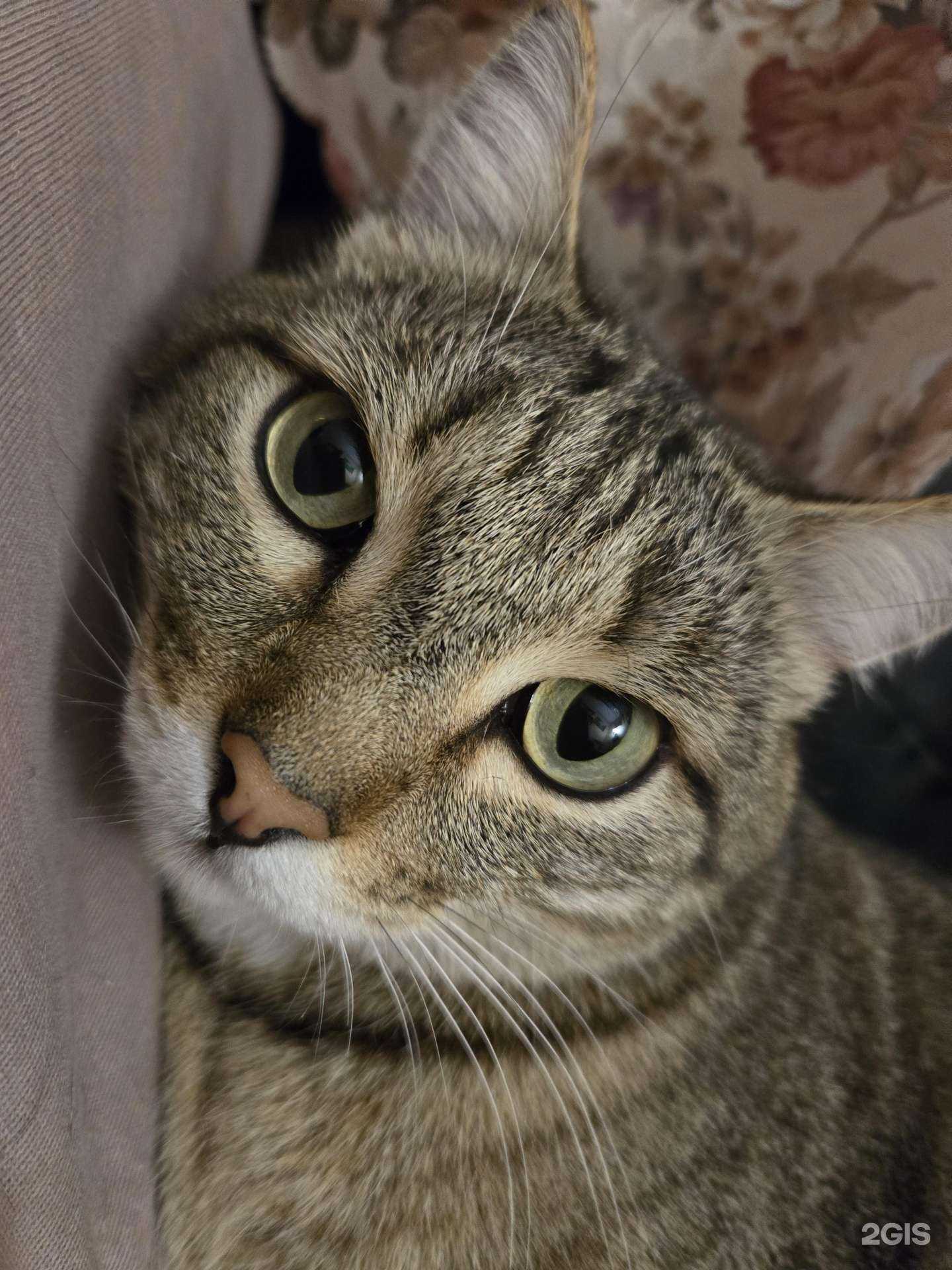 Отзывы на компанию Агент Ландшафт в Красноярске c фото - фотография 2 из 2