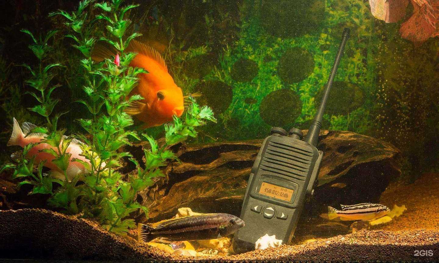 Отзывы на компанию Радиокода в г. Фрязино c фото