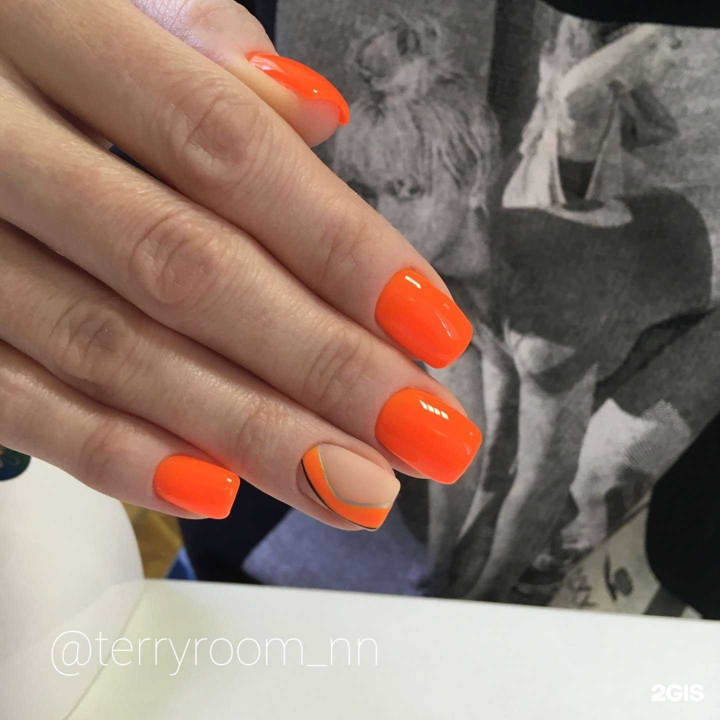 Отзывы на компанию Terryroom в Нижнем Новгороде c фото