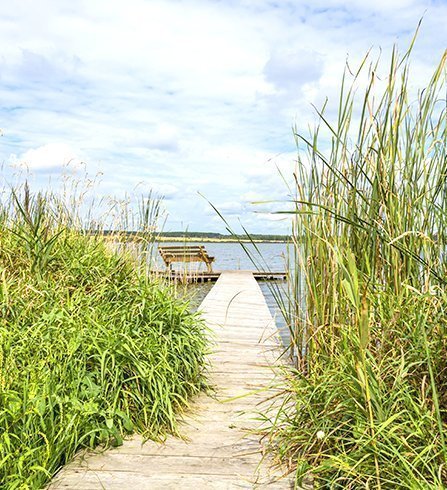 Отзывы на компанию База отдыха Белая Цапля в Боровске c фото - фотография 2 из 7