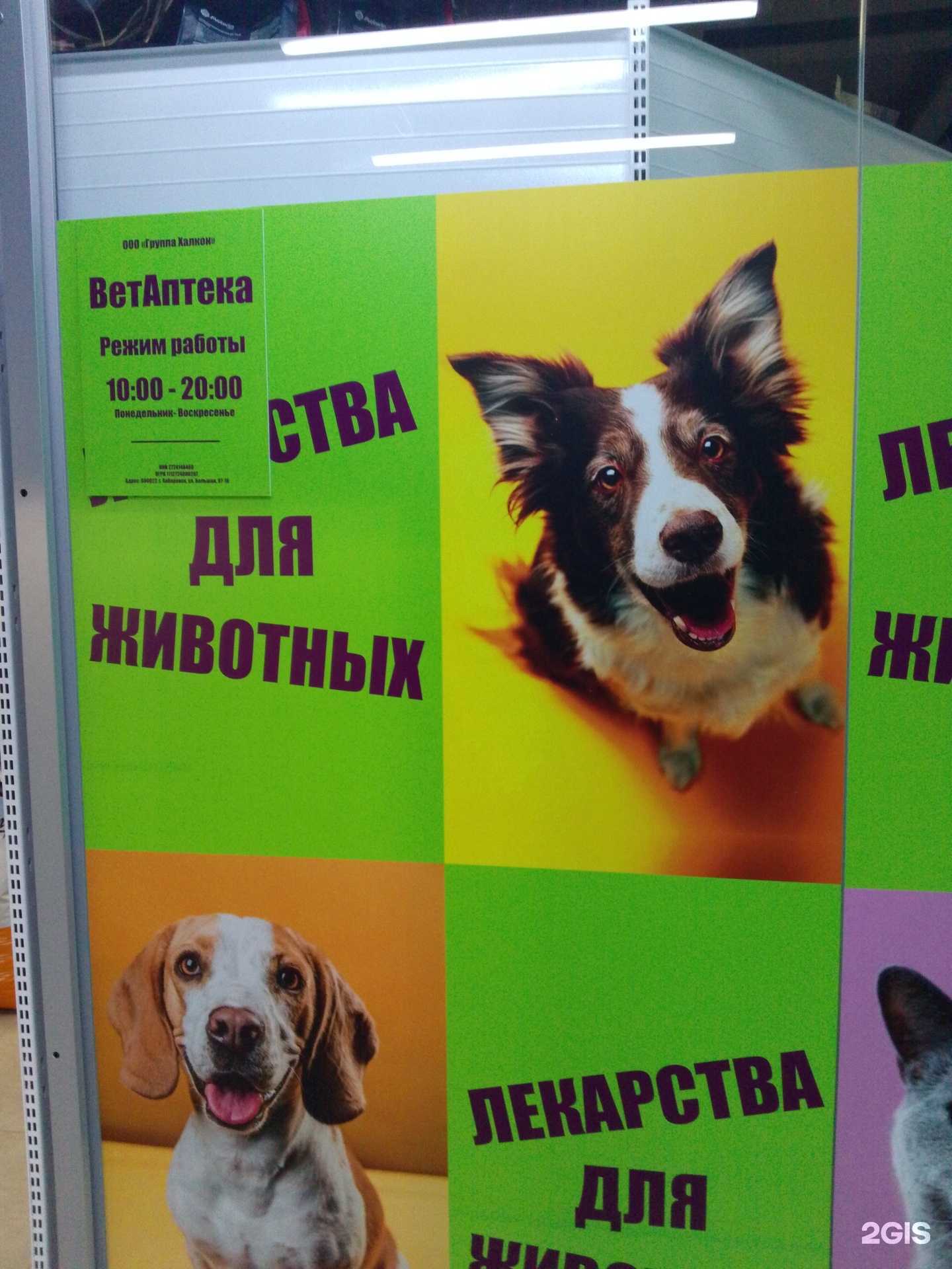 Отзывы на компанию Группа Халкон в г. Хабаровск c фото