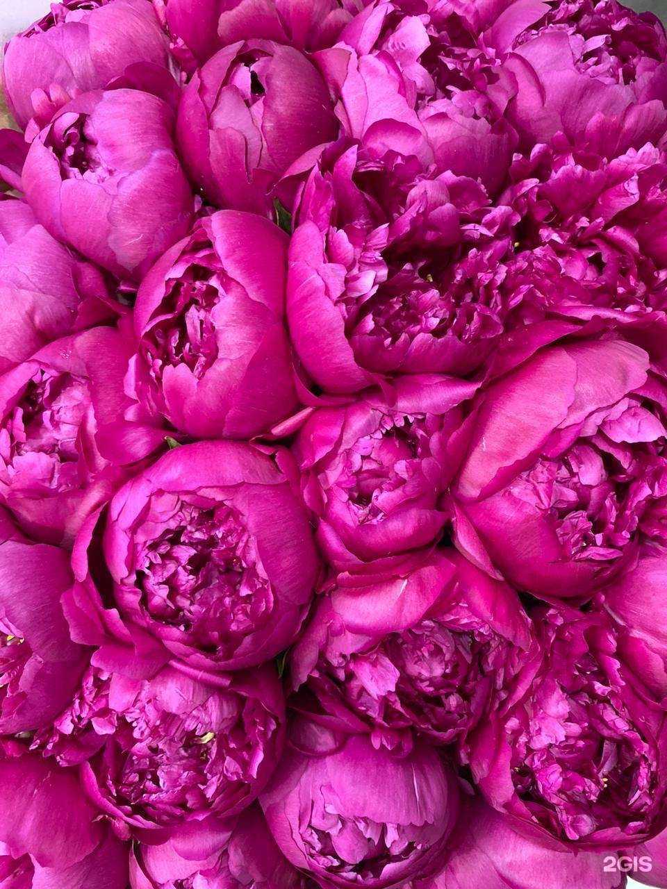 Отзывы на компанию Цветы на кольце в Балашихе c фото