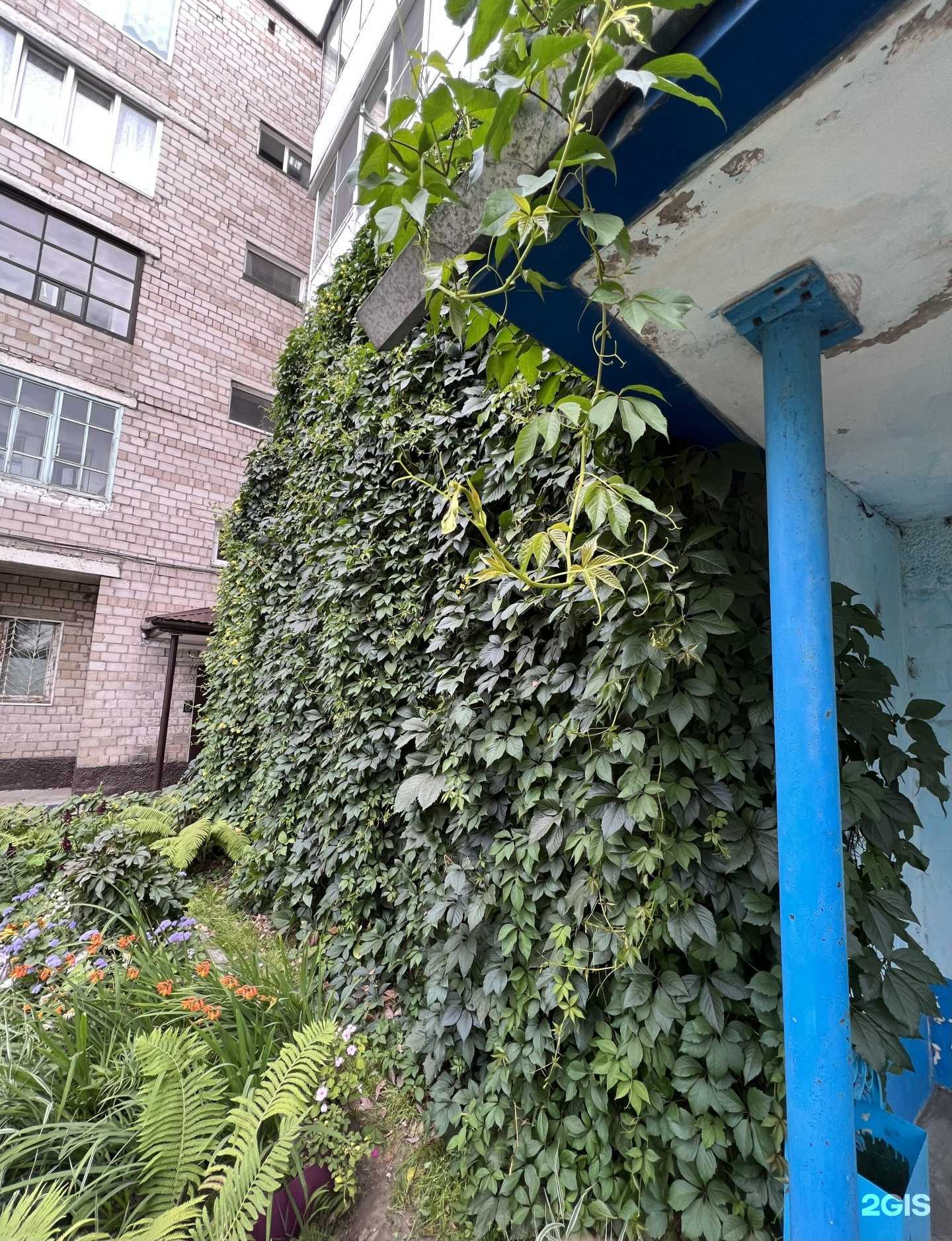 Отзывы на компанию Мона в Минусинске c фото - фотография 2 из 2