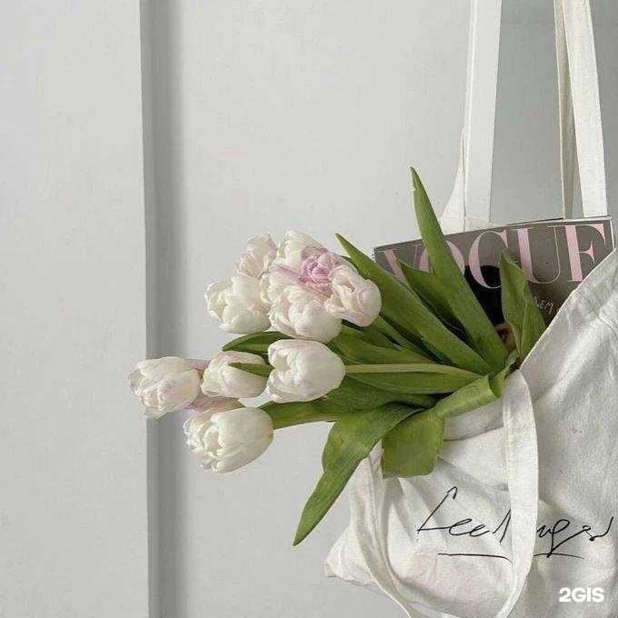 Отзывы на компанию Wizard beauty в г. Гурьевск c фото