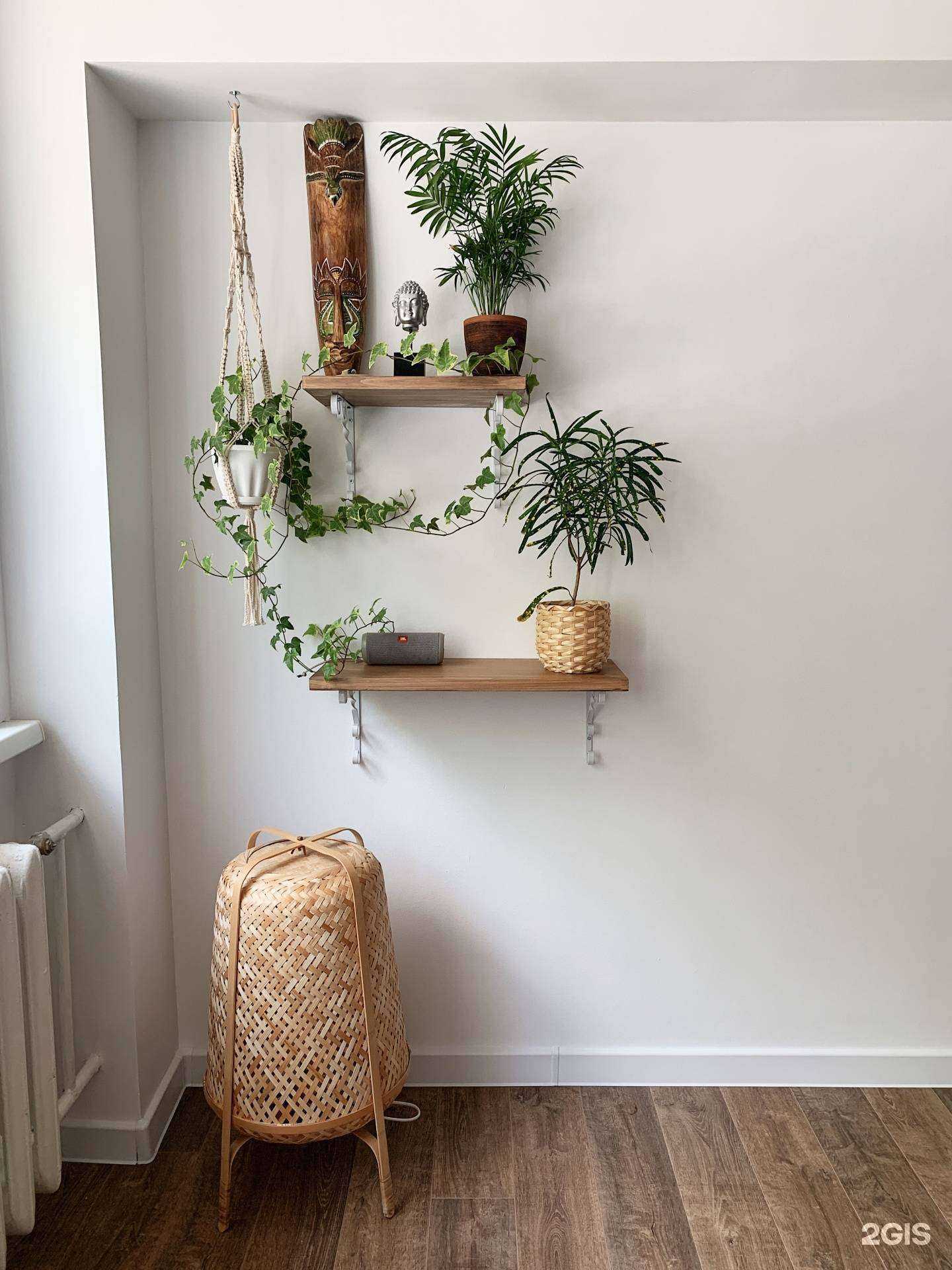 Отзывы на компанию Джива в Кемерове c фото