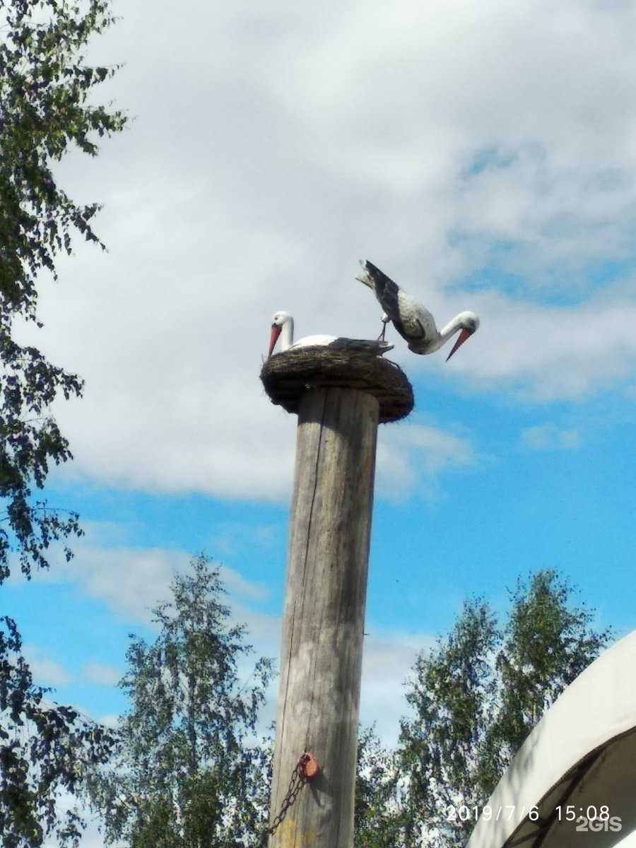 Отзывы на компанию Отрада в Брянске c фото