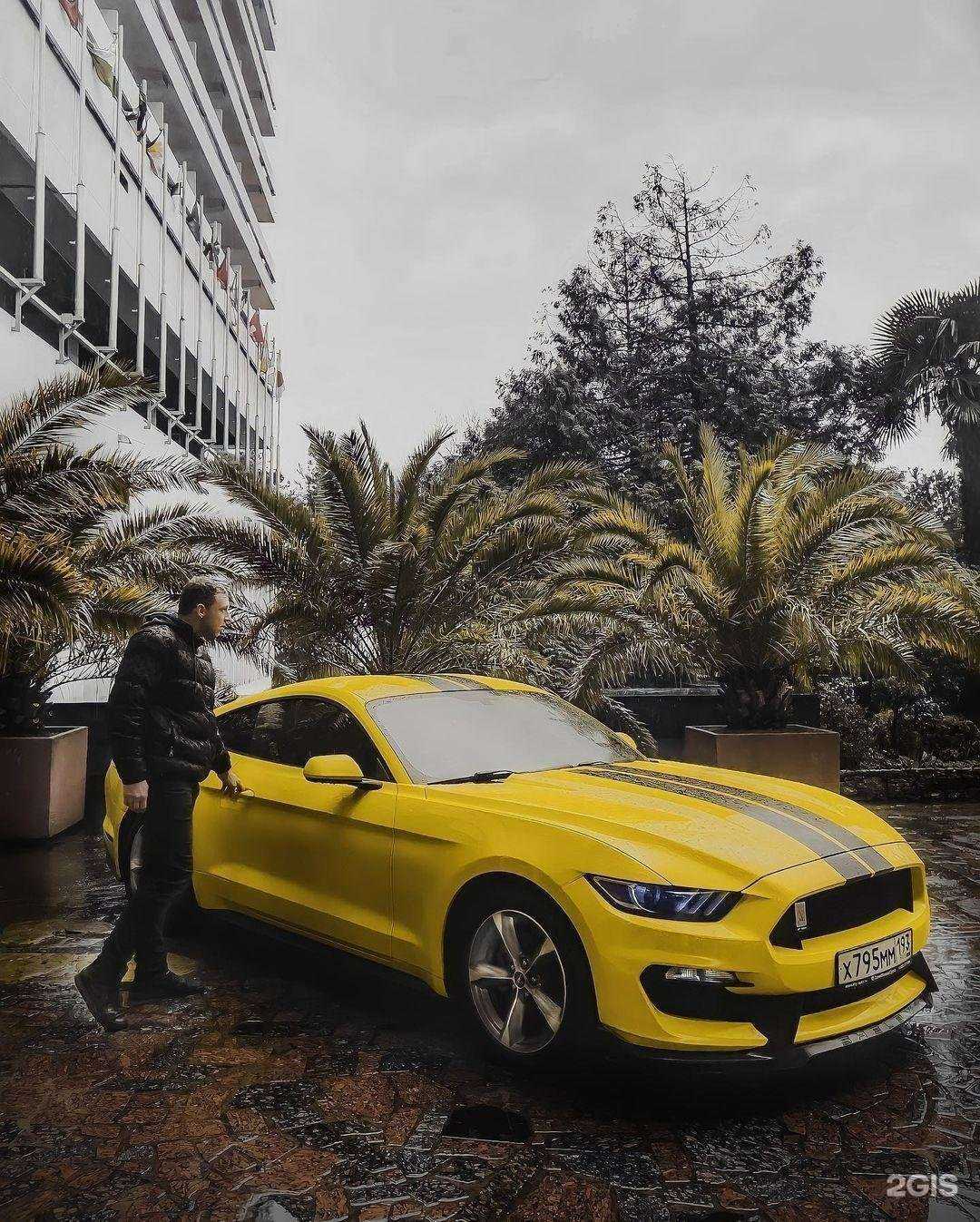 Отзывы на компанию Скутер-Персонал в г. Ростов-на-Дону c фото