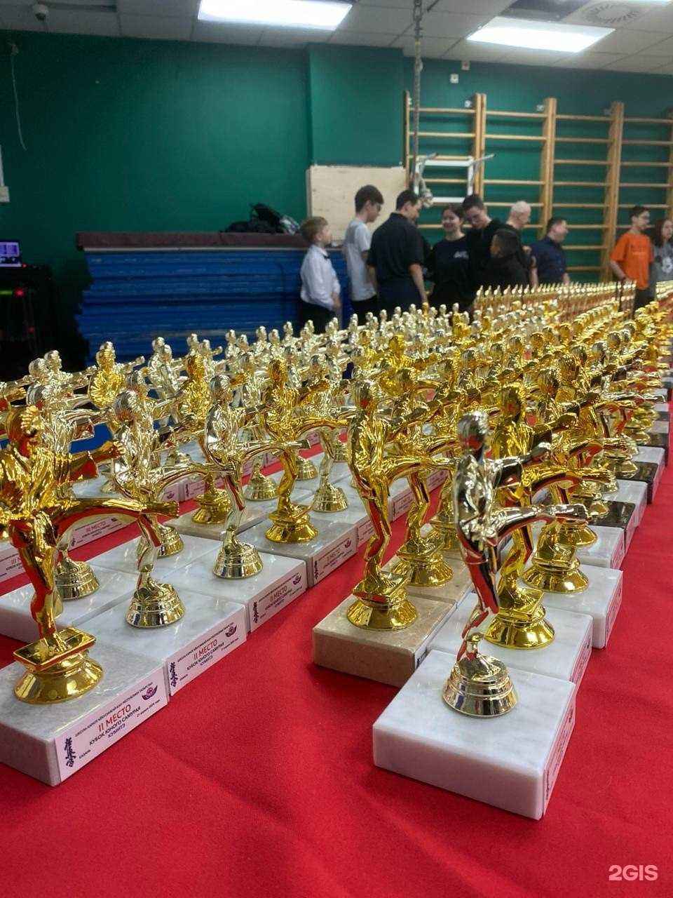 Отзывы на компанию Школа каратэ Кёкусинкай-Кан РТ в г. Альметьевск c фото