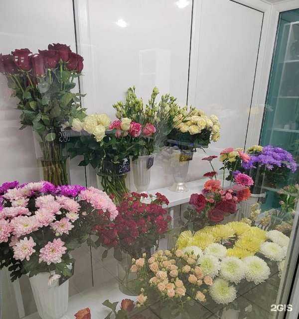 Отзывы на компанию Флора в Питкяранте c фото