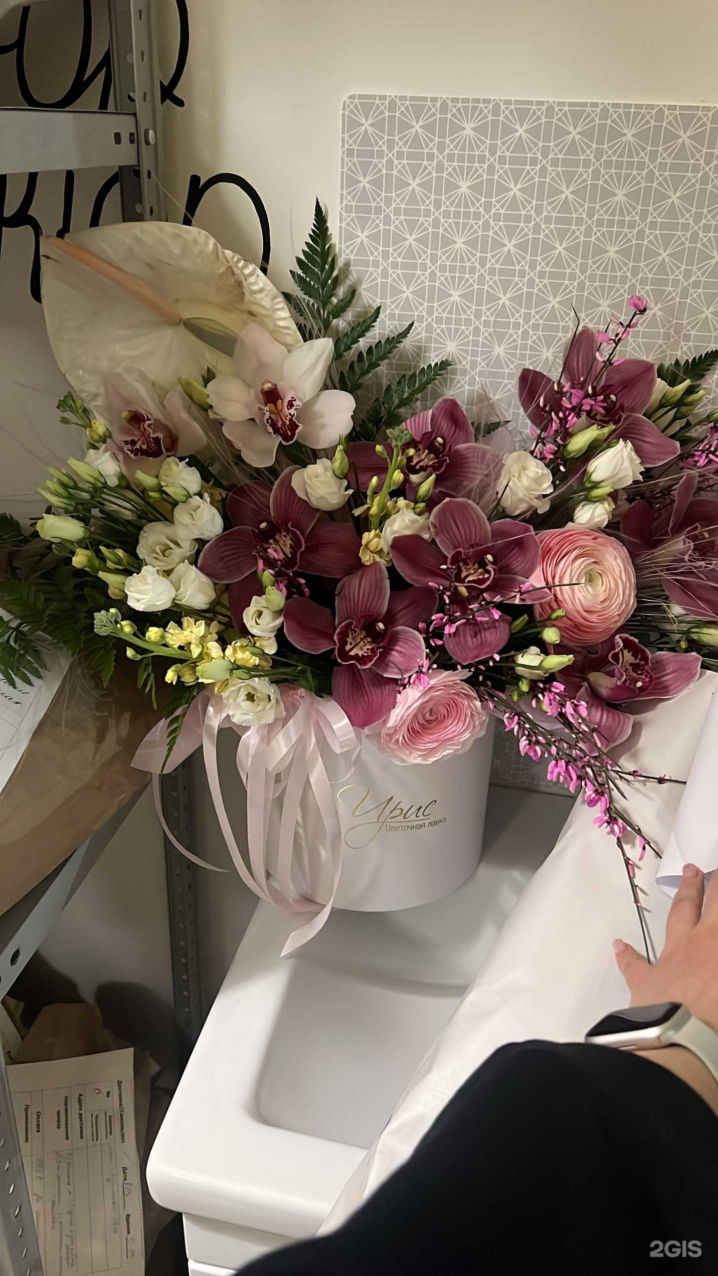 Отзывы на компанию Iris в г. Владимир c фото