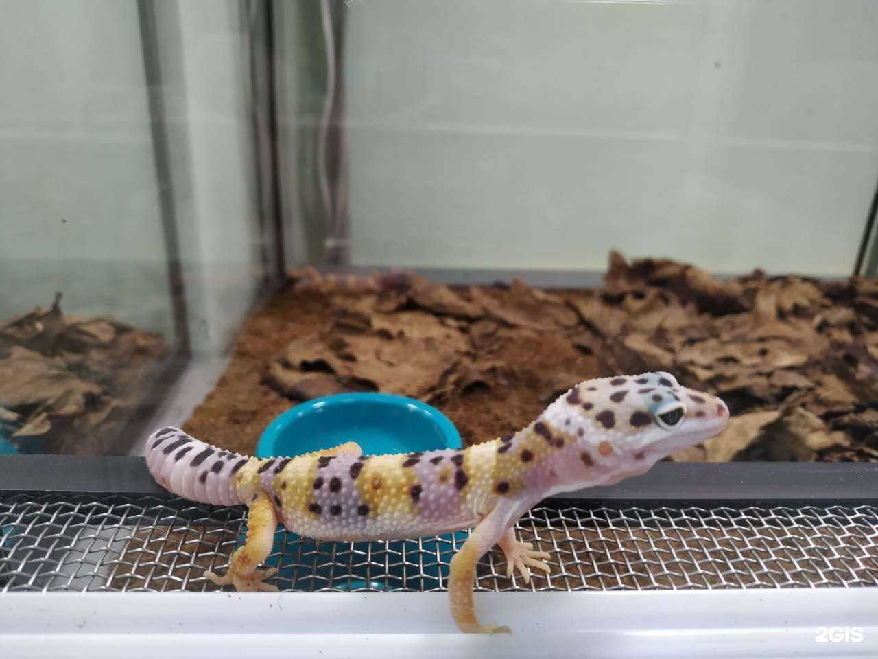 Отзывы на компанию Зоомир в Казани c фото