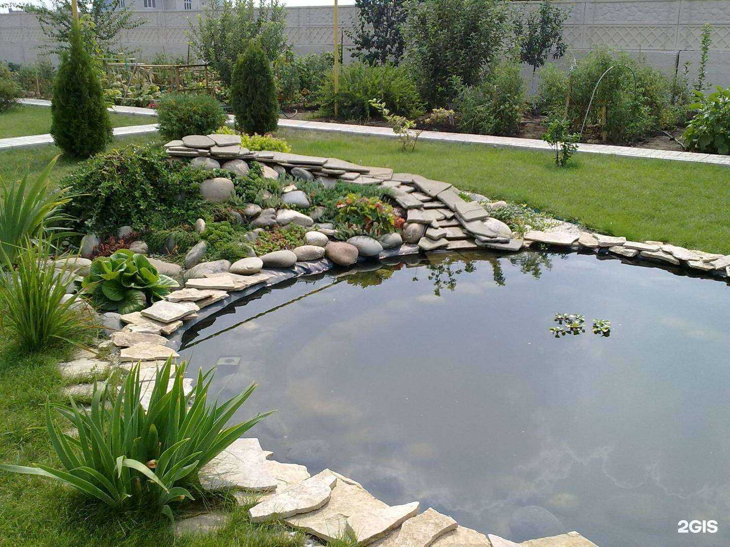 Отзывы на компанию Абелия в Саратове c фото