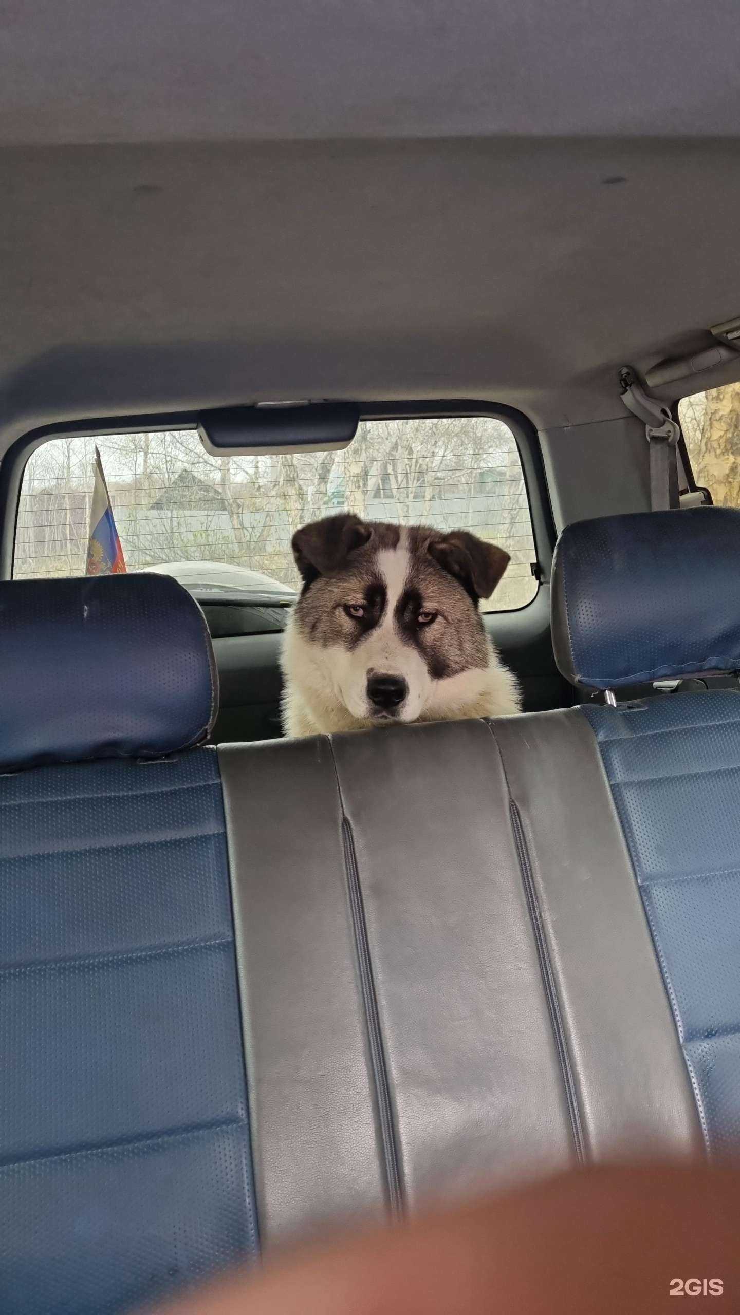 Отзывы на компанию Лидер в Петропавловске-Камчатском c фото