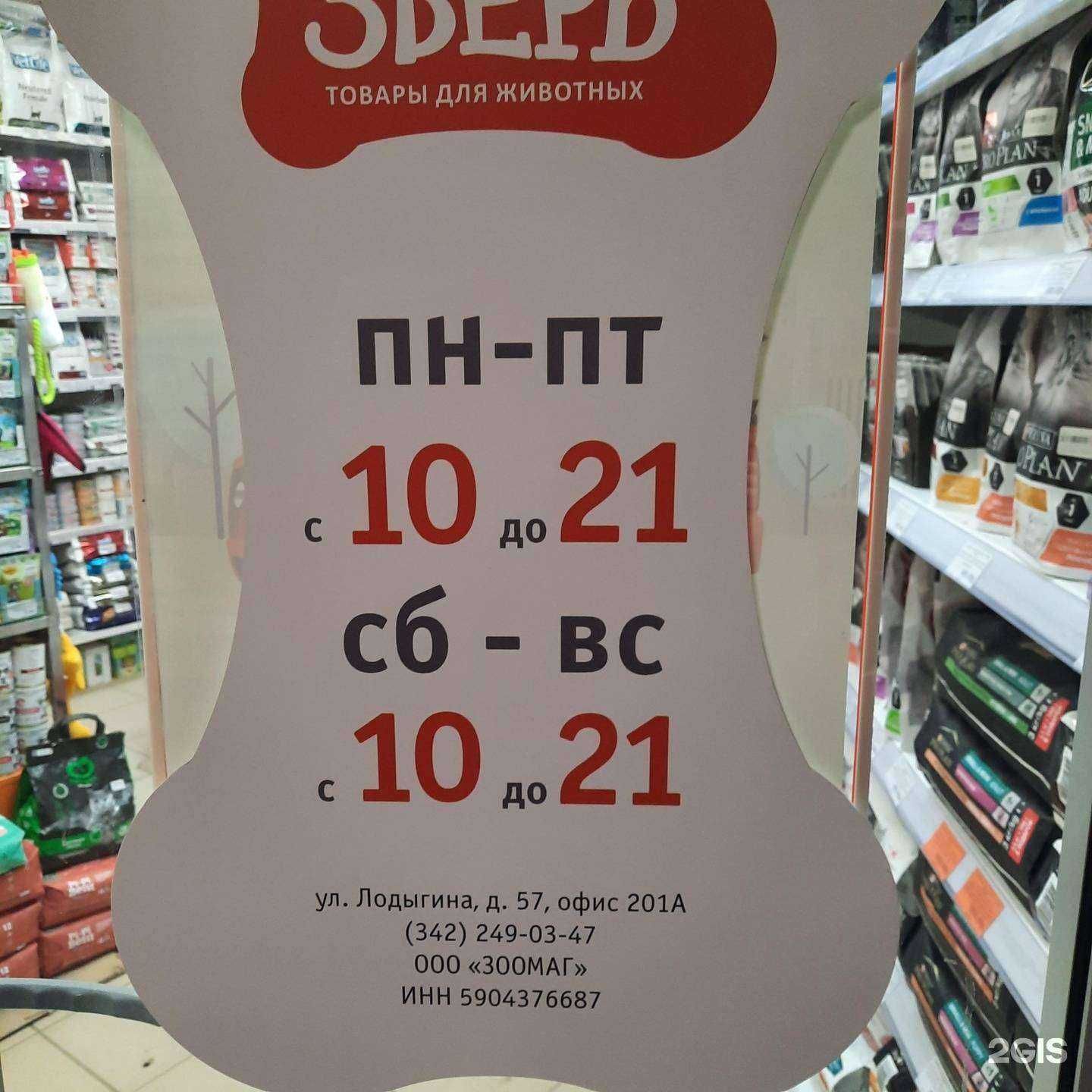 Отзывы на компанию Мой зверь в Перми c фото