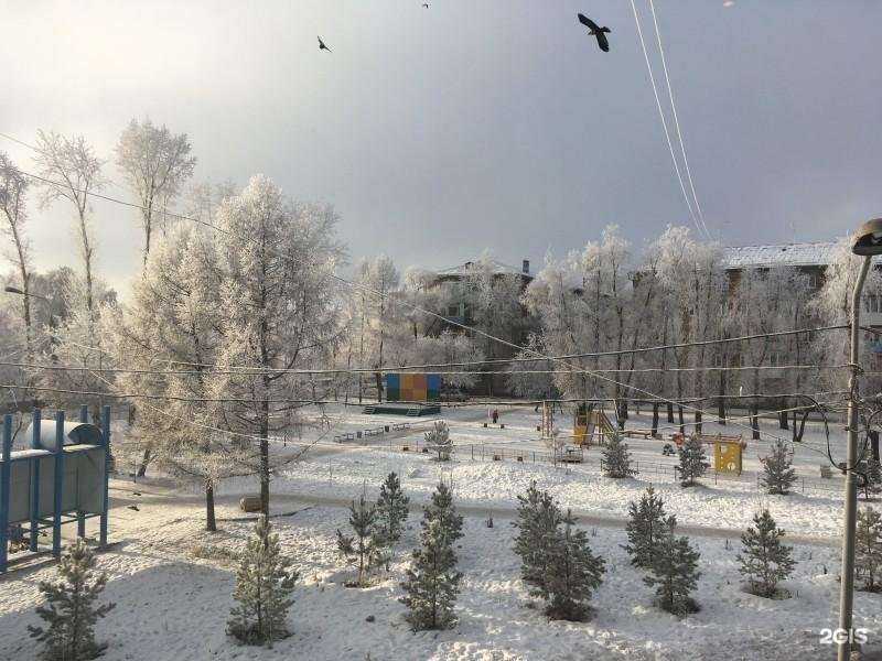 Отзывы на компанию Кружок иностранного языка в г. Омск c фото