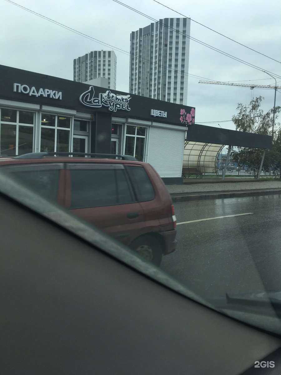 Отзывы на компанию Ветка сакуры в Красноярске c фото - фотография 2 из 2