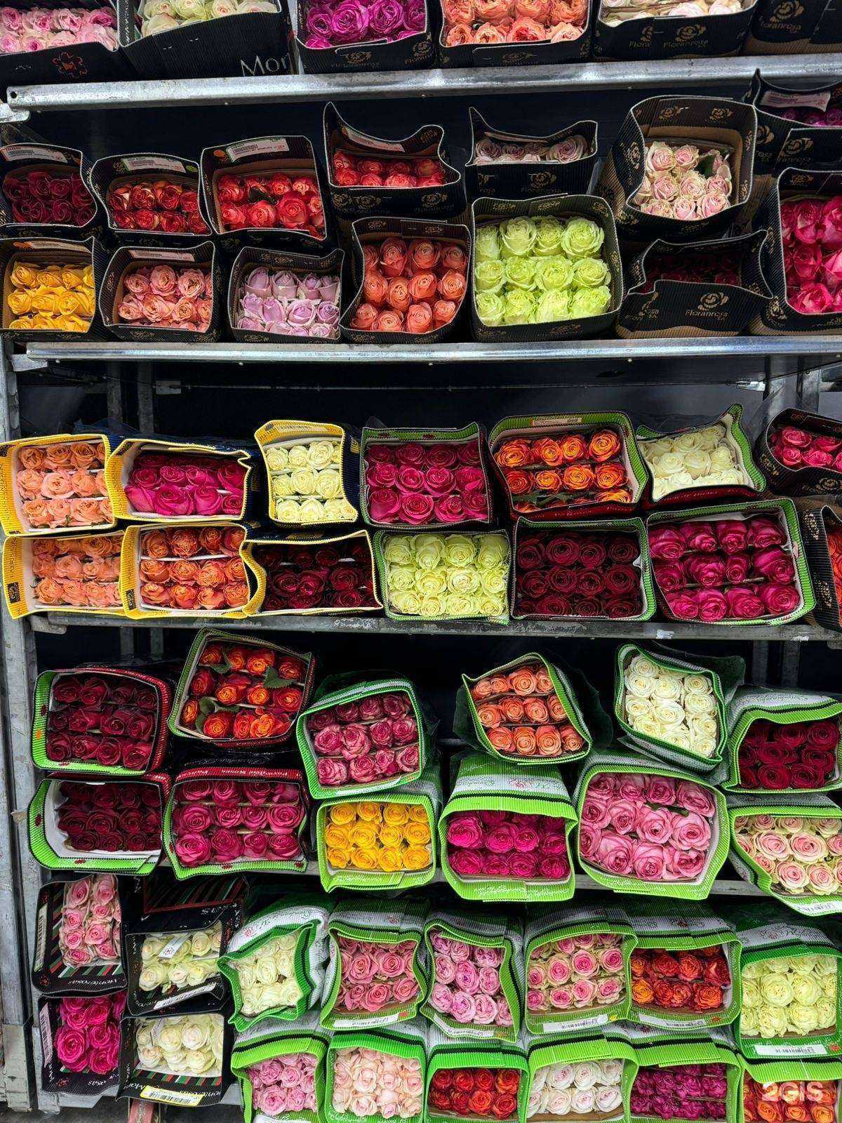 Отзывы на компанию Казанская База Цветов в Казани c фото