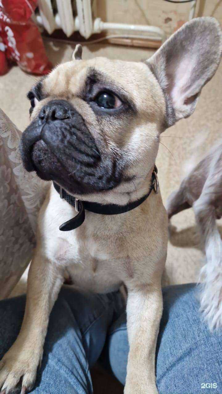 Отзывы на компанию Средняя школа №3 в Амурске c фото