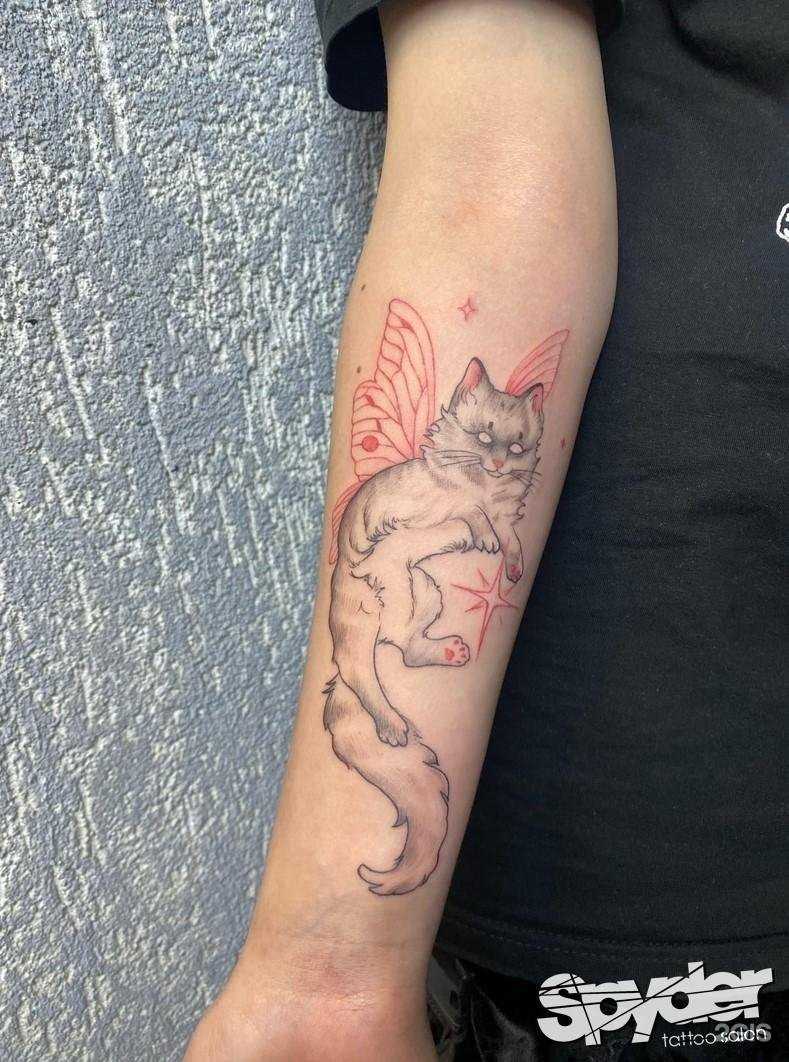 Отзывы на компанию Spyder в Перми c фото