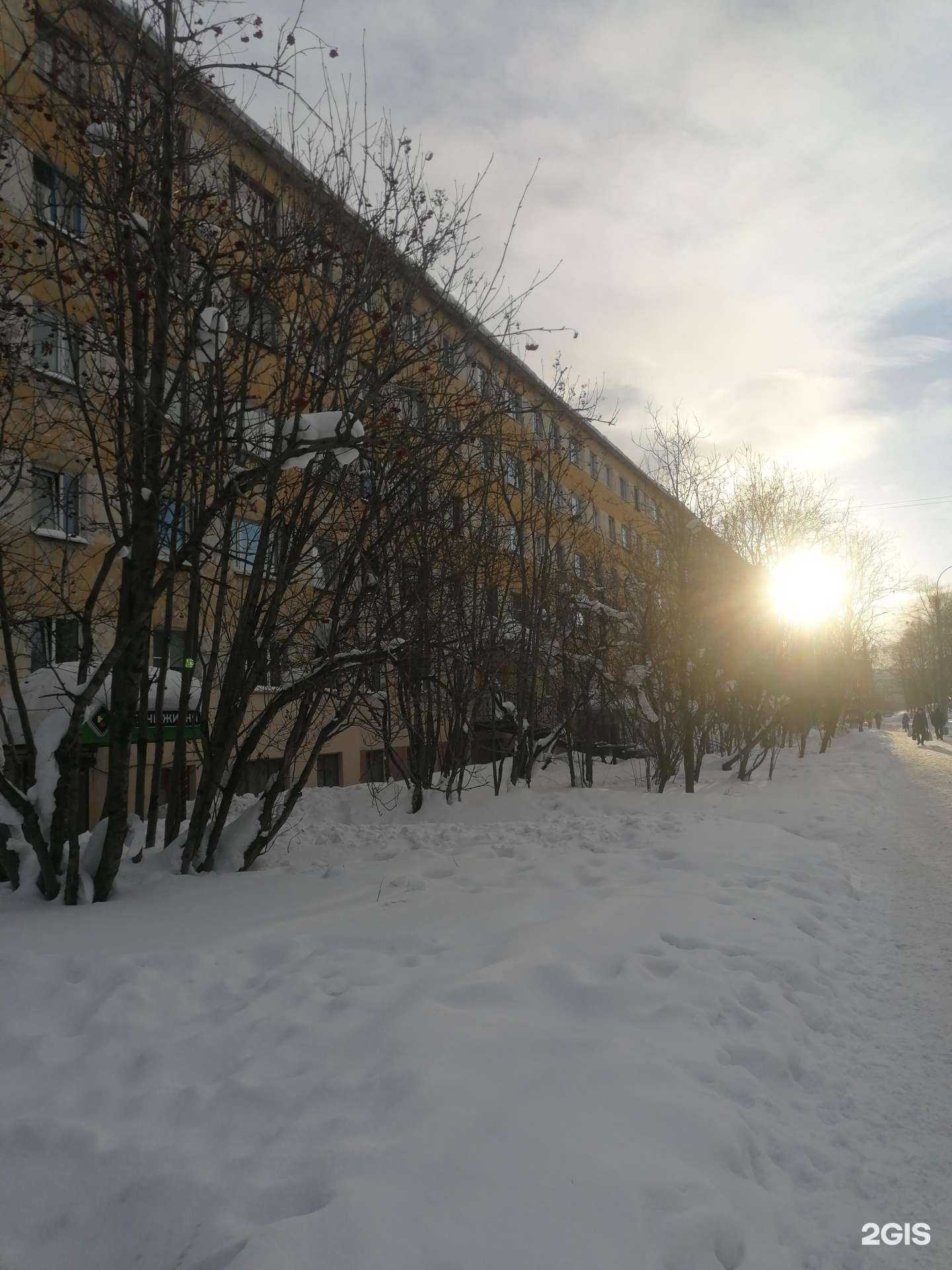 Отзывы на компанию Балерина в Мурманске c фото - фотография 2 из 2