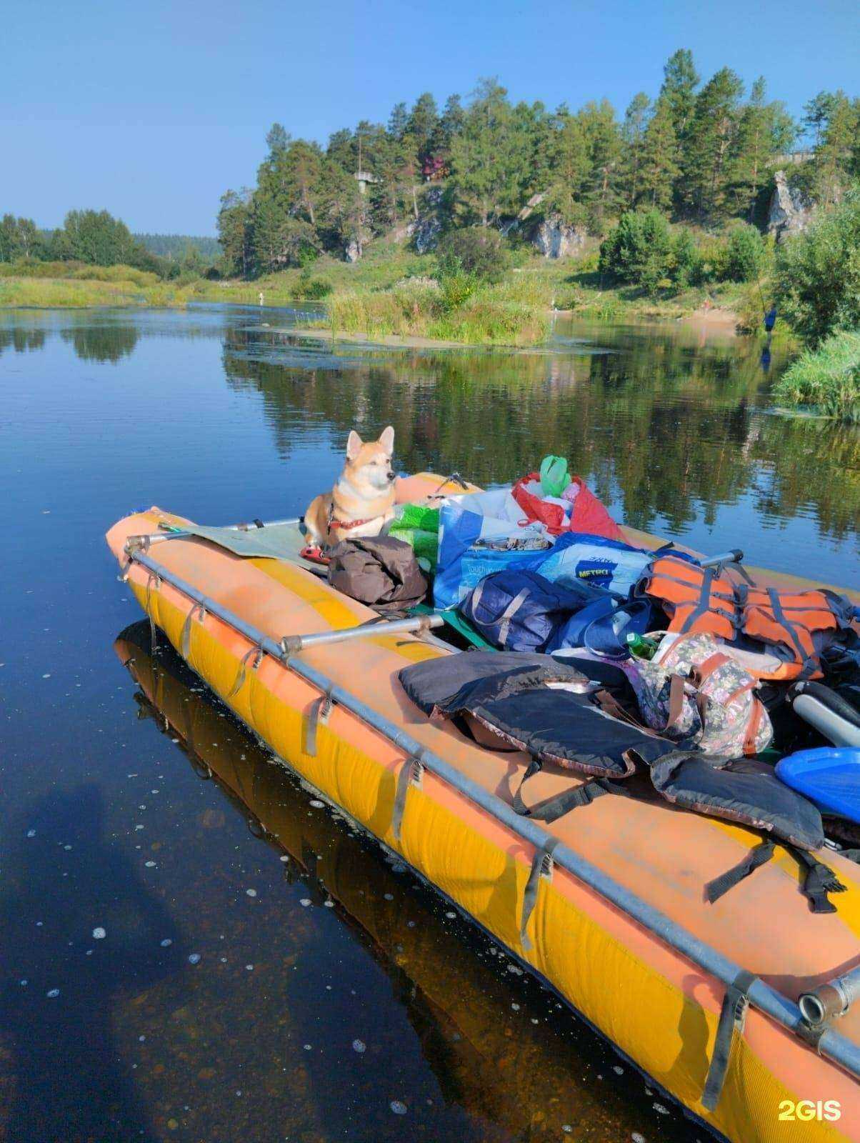 Отзывы на компанию Prokat.sportx.ru в г. Екатеринбург c фото