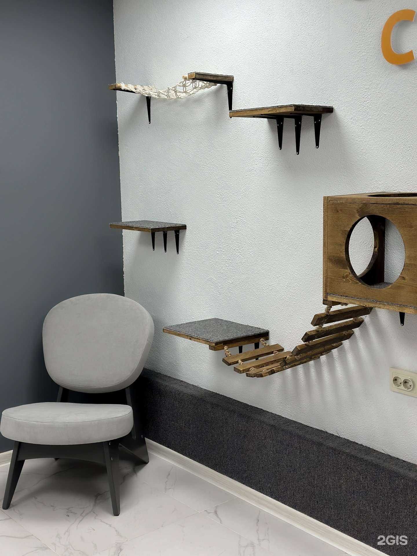 Отзывы на компанию Pet в Казани c фото