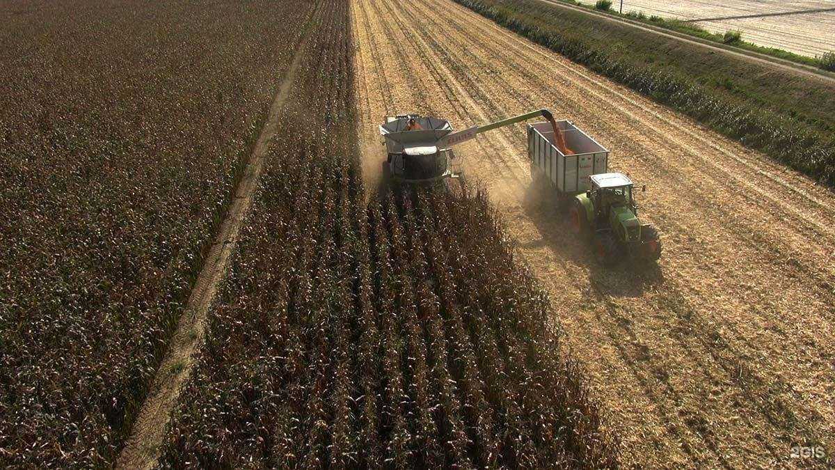 Отзывы на компанию Агроснаб в Саранске c фото