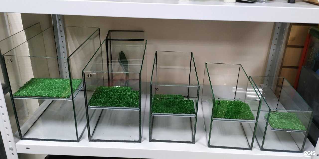 Отзывы на компанию Аквариумист в Уфе c фото