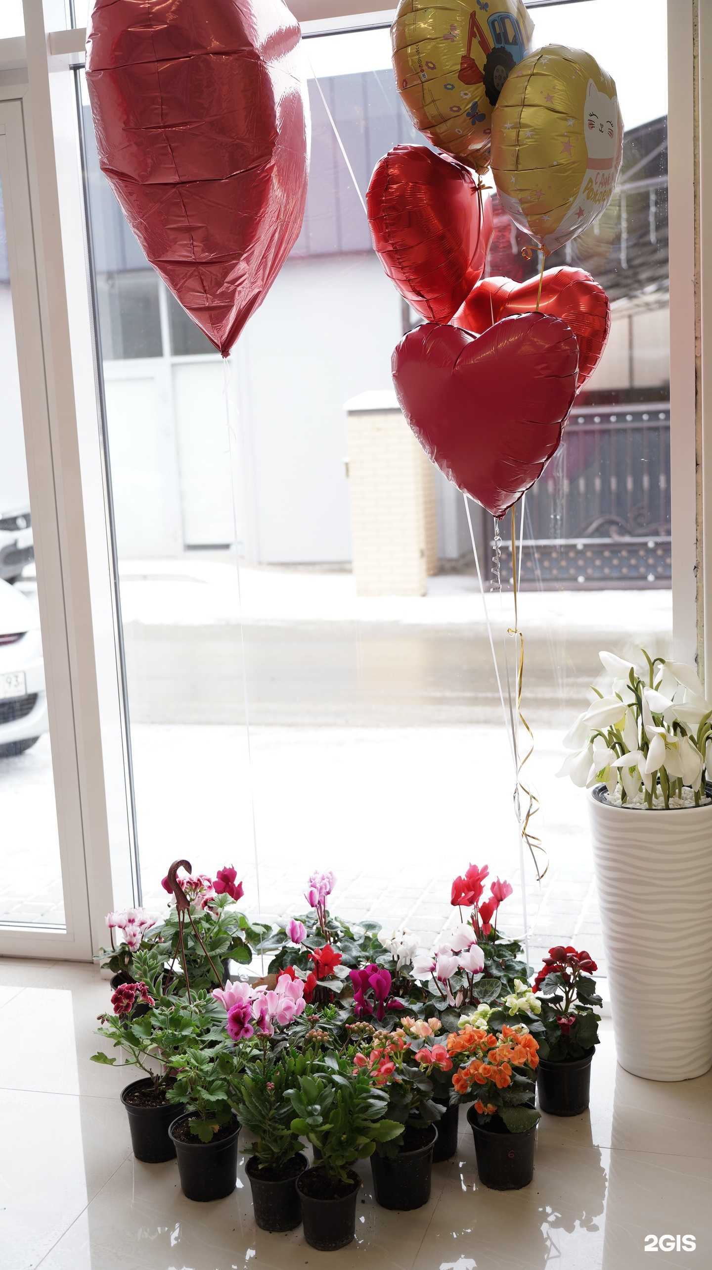 Отзывы на компанию Buket в Абинске c фото