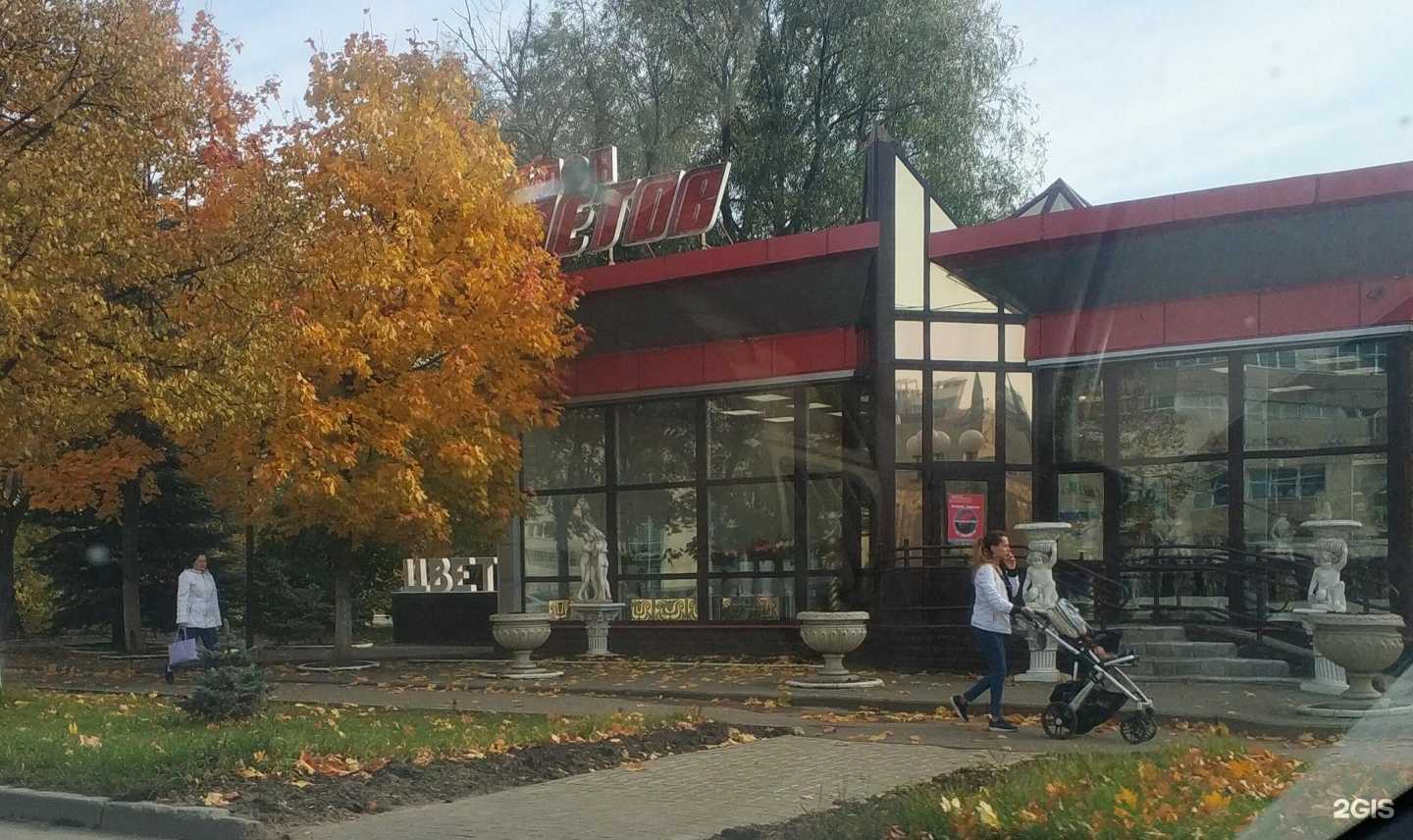 Отзывы на компанию Мир цветов в Владимире c фото