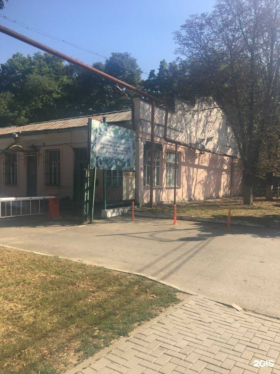 Отзывы на компанию Альбатрос принт в Краснодаре c фото - фотография 2 из 2