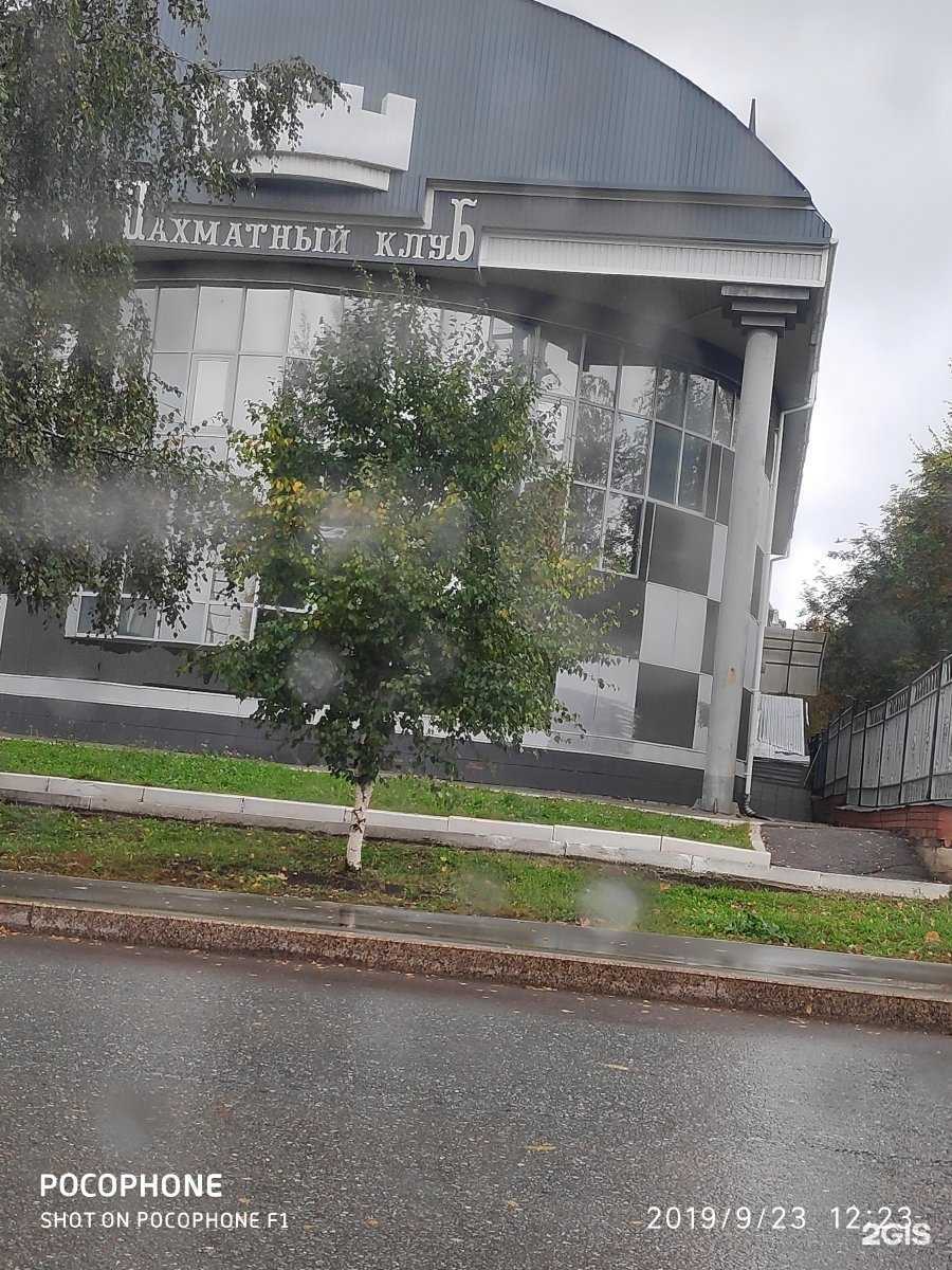 Отзывы на компанию Спортивная школа по шахматам в Альметьевске c фото - фотография 2 из 2