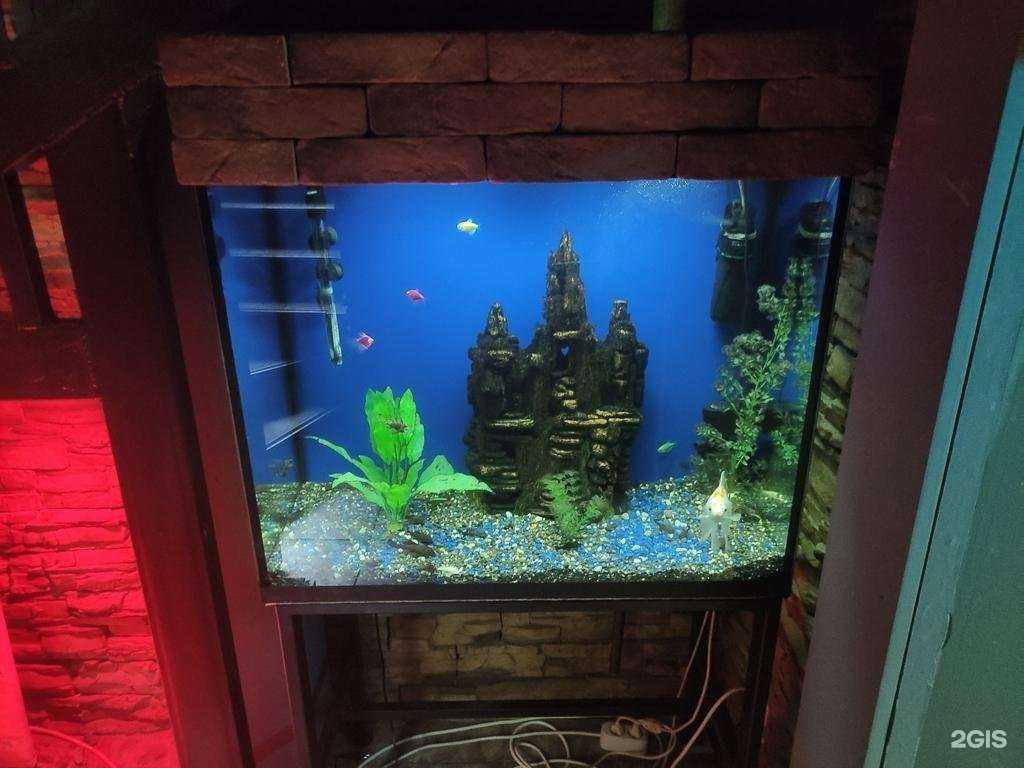 Отзывы на компанию Smoke house в Нальчике c фото