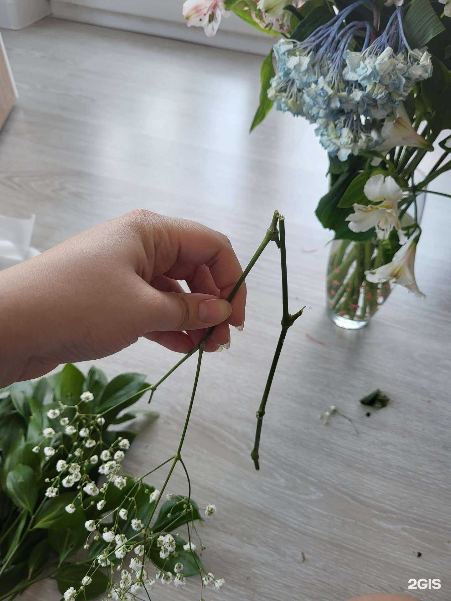 Отзывы на компанию Nairi в Новороссийске c фото - фотография 2 из 2