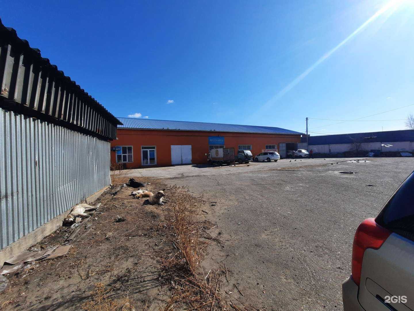 Отзывы на компанию Петто в Чите c фото - фотография 2 из 2