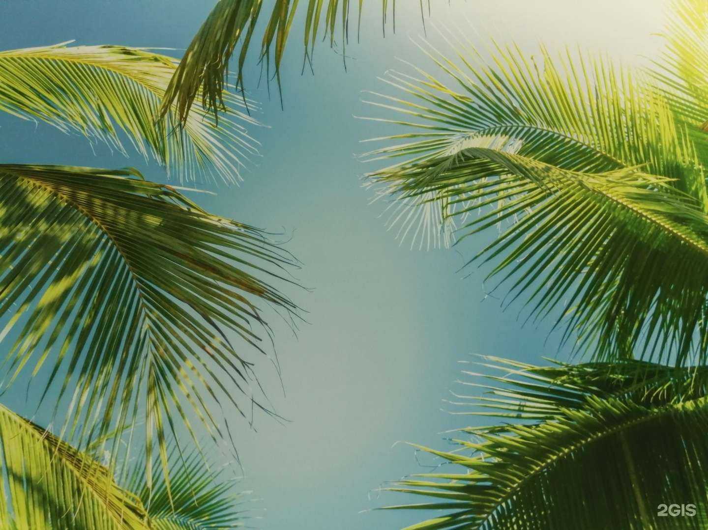 Отзывы на компанию Доктор Соль в г. Бийск c фото